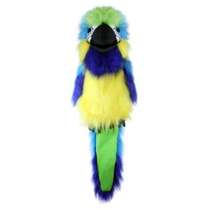 LARGE BIRDS: BLUE AND GOLD MACAW