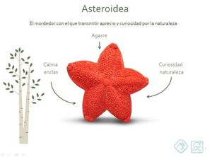 ASTEROIDEA - MORDEDOR ESTRELLA