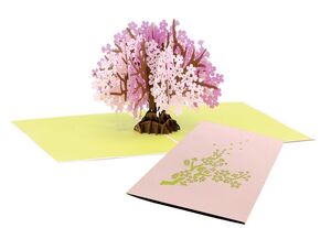 CEREZO