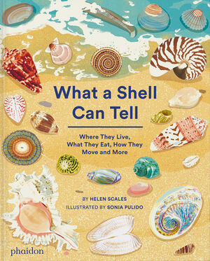 WHAT A SHELL CAN TELL