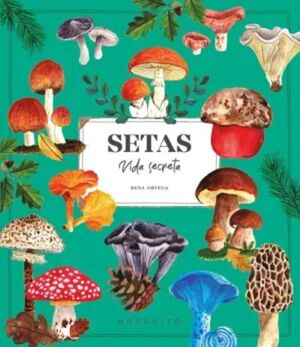 SETAS VIDA SECRETA