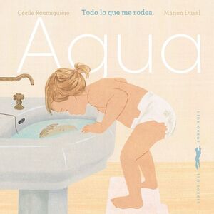 TODO LO QUE ME RODEA: AGUA